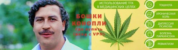 PSILOCYBIN Волоколамск